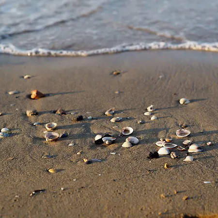 Retreat For Up To 6 Guests-beahost * Bibione