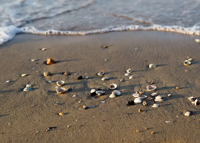 Retreat For Up To 6 Guests-beahost * Bibione